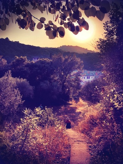 Pogled na manastir Hilandar iz maslinjaka